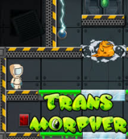 Transmorpher 1